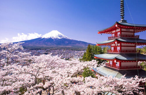 Japan-tour-cost-hotel-tourist-attractions